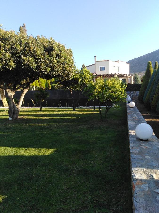 Golden Crest Villa ヘルソニソス エクステリア 写真